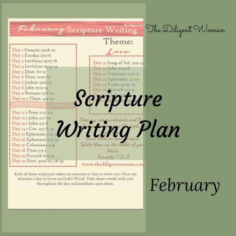 Scripture Writing Plan: February - Love - The Diligent Woman